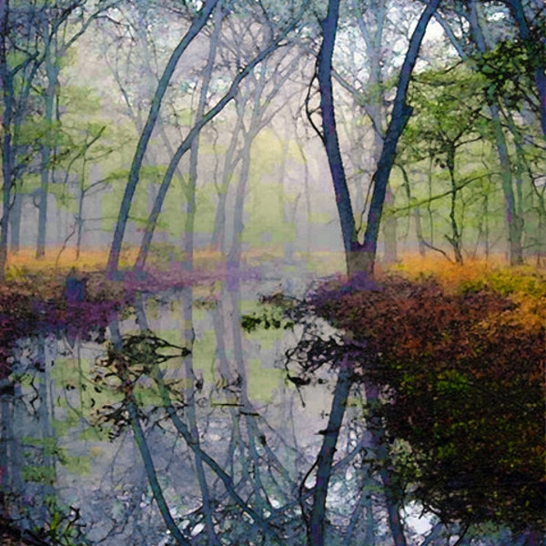 Autumn, Forest, Water, Pond, Trees, Landscape, Nature Photograph, Fine Art Painted Photograph, Giclee Print