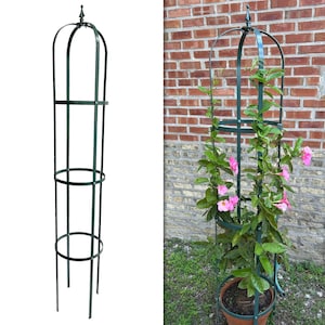 Large Garden Obelisk | Trellis for Climbing Plants