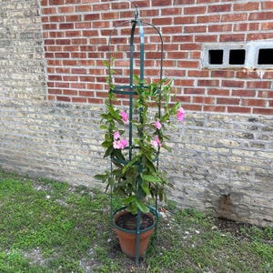 Large Garden Obelisk | Trellis for Climbing Plants