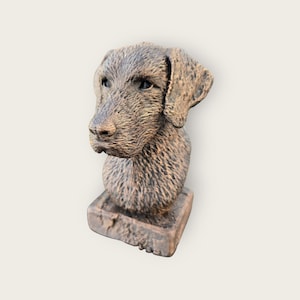 Op de afbeelding: Een bronzen hondensculptuur met een getextureerd oppervlak. De sculptuur toont de kop en het bovenlichaam van een hond, met gedetailleerde vacht en gelaatstrekken. De hond is gemonteerd op een vierkante basis.