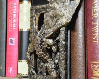 Dragon Adventure Book Nook - Climbing the Wall of Fantasy