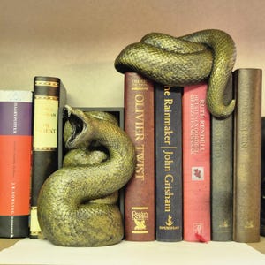 Coin lecture unique avec décoration serpent – Un incontournable pour les amoureux des livres ! Décoration de bibliothèque à offrir à lui ou à elle.