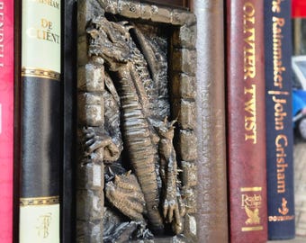 Fantasy Dragon Wall Book Nook - 3D Printed Climber