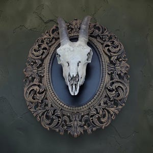 Può includere: Un teschio di capra con lunghe corna ricurve è montato su uno sfondo ovale nero all'interno di una cornice ornata in stile antico. La cornice ha una finitura bronzo scuro e un'intricata lavorazione a volute, creando un'estetica gotica o vintage.