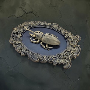 Beetle wall plaque in baroque frame | gothic insect wall decor