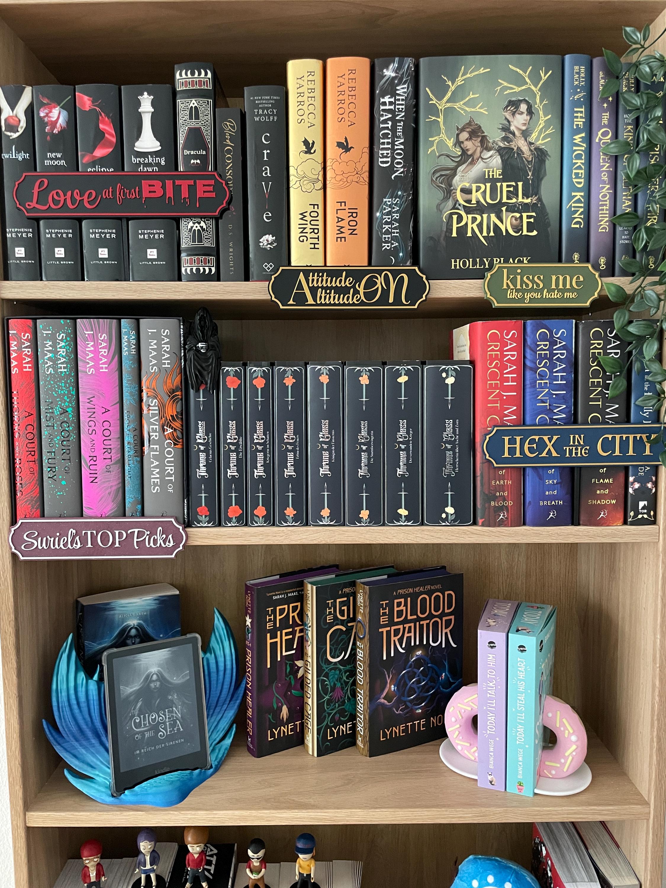 Cartelli Appendini Per Libreria In Acrilico O Ferro | Targhe Sospese Per Generi Dark Romance, Fantasy, Mystery | Decoro Per Book Nook E Angolo Lettura | Regalo Originale Per Lettori E Booklover (Stile 01)