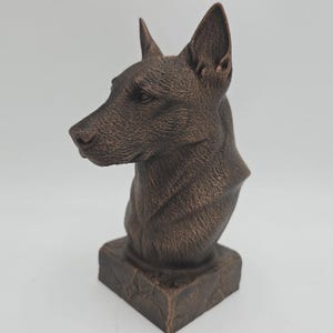 Bust of a belgian malinois dog statue - home decor dog lover handpainted ornament