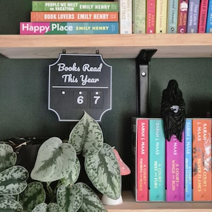 Op de afbeelding: Een zwart-wit schoolbord met de tekst "Boeken gelezen dit jaar" met de nummers 67. Het bord hangt boven een plant met groene en zilveren bladeren. Boeken en een zwart beeldje staan op een plank.