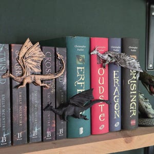 Set di tre draghi Spinehugger: draghi fantastici che volano sopra la tua libreria.