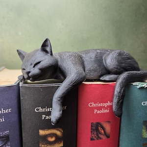 Op de afbeelding: Een matzwart kattenbeeldje in een slapende houding, met de kop en één voorpoot over de rand van een boek rustend. De kat heeft gedetailleerde, textuurrijke vacht en ligt over de ruggen van verschillende boeken van Christopher Paolini.