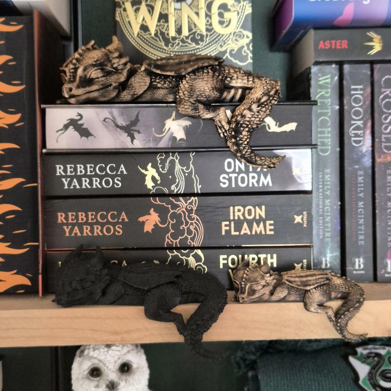 Op de afbeelding: Een houten plank toont fantasyboeken en drakenbeeldjes. De boeken hebben zwarte covers met gouden letters en bevatten titels als "Iron Flame" en "Fourth Wing". Twee bruine en &eacute;&eacute;n zwart drakenbeeldje staan op de plank.