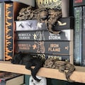 Bookshelf decor Sleeping Andarna Dragon Figurine – Inspired by Onyx Storm (Empyrean Series) product logo