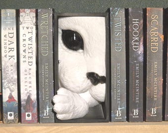 Whimsical Cat Lover Book Nook for bookShelf