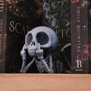 Könnte beinhalten: Eine graue, 3D-gedruckte Skelettfigur, die den Mittelfinger zeigt. Das Skelett befindet sich zwischen zwei Büchern mit dunklen Einbänden. Die Figur hat einen schädelartigen Kopf und sitzt.
