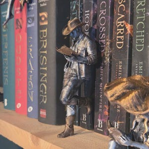Könnte beinhalten: Eine silberfarbene Cowboy-Figur, die ein Buch liest und sich an einer Reihe bunter Bücher auf einem Holzregal anlehnt. Die Bücher tragen Titel wie "Brisingr" und "Crossed". Die Figur trägt einen Cowboyhut, ein Hemd und Stiefel. Eine zweite Figur ist sichtbar.