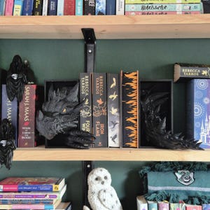 May include: A bookshelf with a green background, featuring a black dragon bookend, a white owl figurine, and several books with titles like "Iron Flame" and "House of Earth and Blood".