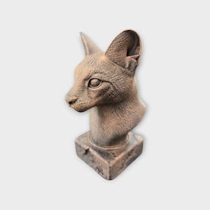 Puede incluir: Busto de gato de color bronce. La escultura presenta una representación detallada de la cabeza y el cuello de un gato, con orejas prominentes y una mirada enfocada. El busto está montado sobre una base cuadrada, con un acabado texturizado y envejecido.