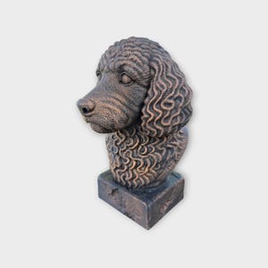 Può includere: Una scultura color bronzo della testa e della parte superiore del corpo di un barboncino. Il pelo del cane è dettagliato con texture ricciute e poggia su una base quadrata strutturata. La scultura ha un aspetto classico ed elegante.