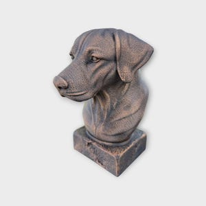 May include: A bronze-effect dog bust sculpture. The sculpture shows the head and upper chest of a dog, with detailed features including the eyes, nose, and ears. The dog bust is mounted on a square base.