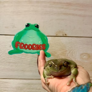 Froobies Whites Tree Frog Water-Resistent Vinyl Sticker Dumpy Frog