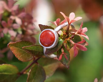 Anillo sencillo de jaspe rojo en plata de ley, talla 5,5