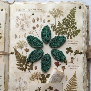 Set van 6 gehaakte kleine groene blaadjes – 3,8 cm katoenen applicaties