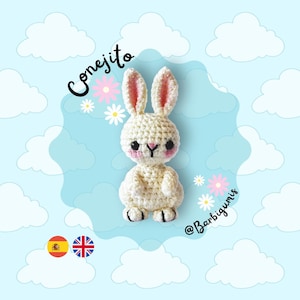 Little Bunny Rabbit Amigurumi Pattern - PDF Instructions / Crochet Pattern