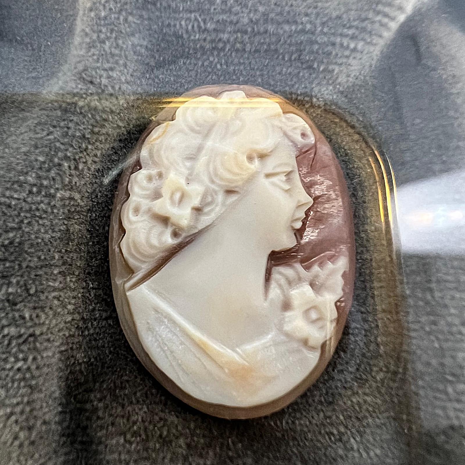 Genuine Hand-carved Cameo in a Picture Frame From Torre Del Greco
