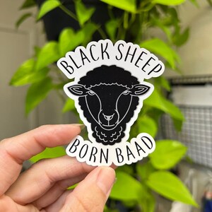 Naklejka „Black Sheep Club Born Baad”