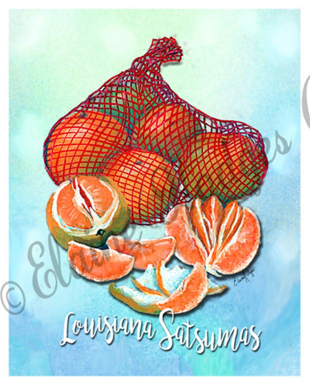 Louisiana Satsumas, Oranges, Citrus, Fruit Art Print From Original