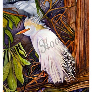 Cattle Egret Bird Print from Original Artwork