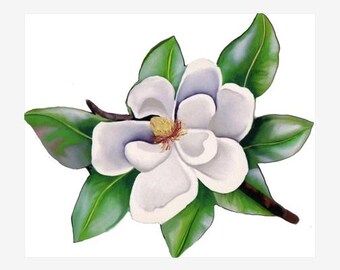 Louisiana Magnolia State Flower made from Original Art
