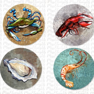 Four Coaster Set  Original Art Louisiana Sea Life