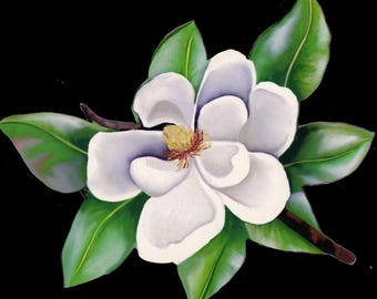 Louisiana Magnolia State Flower made from Original Art