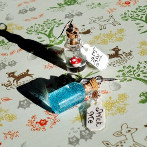 Alice in Wonderland Drink Me and Eat Me Bottle Earrings Sterling Silver image 2