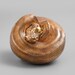 Solid Bronze Coiled Ball Python Figurine, Reptile Sculpture ...