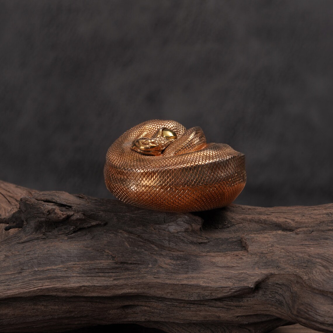 Solid Bronze Coiled Ball Python Figurine, Reptile Sculpture ...