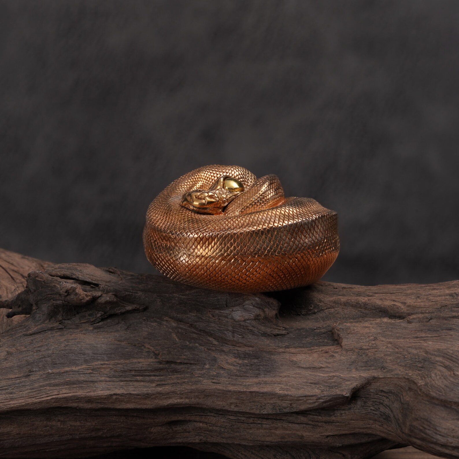 Solid Bronze Coiled Ball Python Figurine, Reptile Sculpture ...