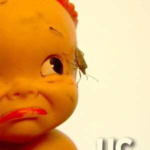 May include: A close-up of a yellow plastic doll's face with a bug on its forehead. The doll has a red and white hat and a sad expression. The text "UC STUDIOS" is visible in the lower right corner of the image.
