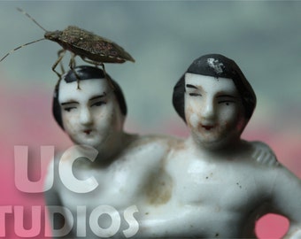 Siamese twins with Stink Bug Freak Canon PRINT 322 from Photo by Michael Brown / UC Studios