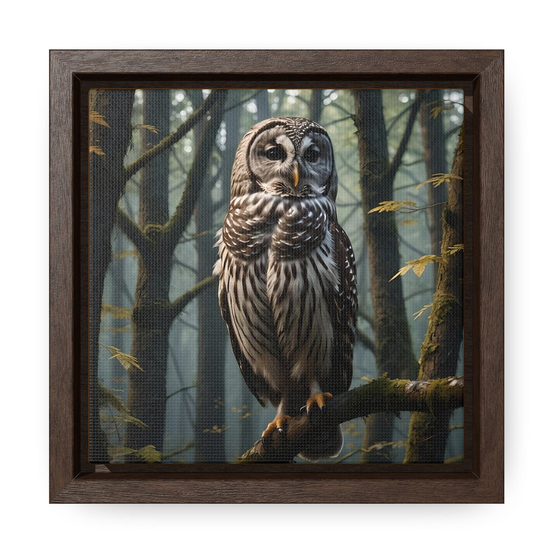 Barred Owl Framed Print on Canvas - Etsy