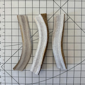 May include: Three white antler dog chews, each with a slightly different curve. The chews are on a white grid background.