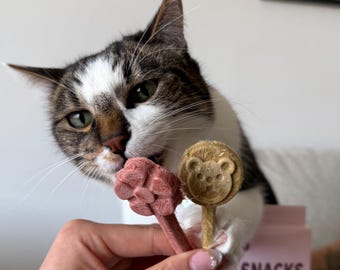 Freeze Dried Lollipops Pet Treats Pc