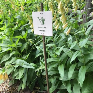 May include: A white sign with a green watering can illustration and the text "Hannah's Garden" on a wooden stake in a garden with green plants and yellow flowers.
