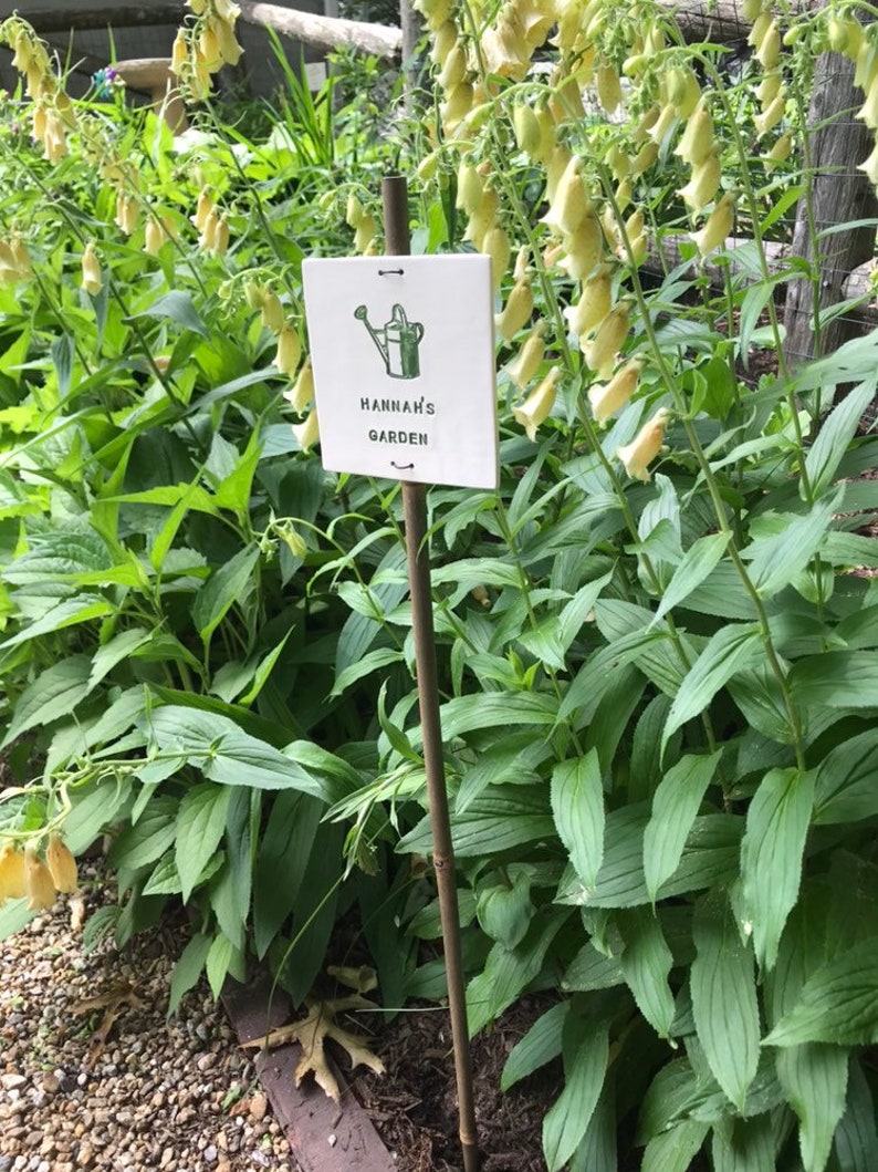 May include: A white sign with a green watering can illustration and the text "Hannah's Garden" on a wooden stake in a garden with green plants and yellow flowers.