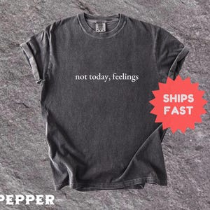 Comfort Colors® Not Today Feelings Shirt, Funny Mental Health Tee, Minimalist Quote Shirt, Sarcastic Shirt, Mental Health Minimalist Shirt
