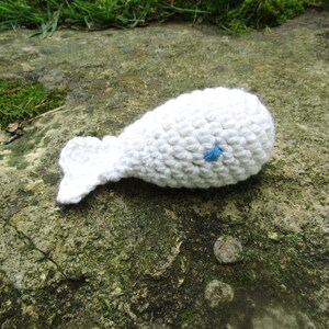 Catnip Whale Crochet Cat Toy. Toy Amigurumi Whale Cat Toy w/ Organic Catnip. Choose from a Collection of Colors. Crochet Cotton Yarn Cat Toy White Whale