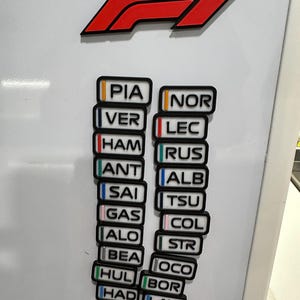 F1 Drivers name tag magnet