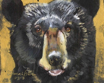 Black Bear, Easy, Fine Art Print, (Multiple Sizes)