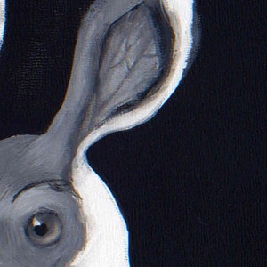 May include: Close-up of a black and white painted rabbit's head with a large ear. The rabbit's eye is visible and has a dark brown iris.